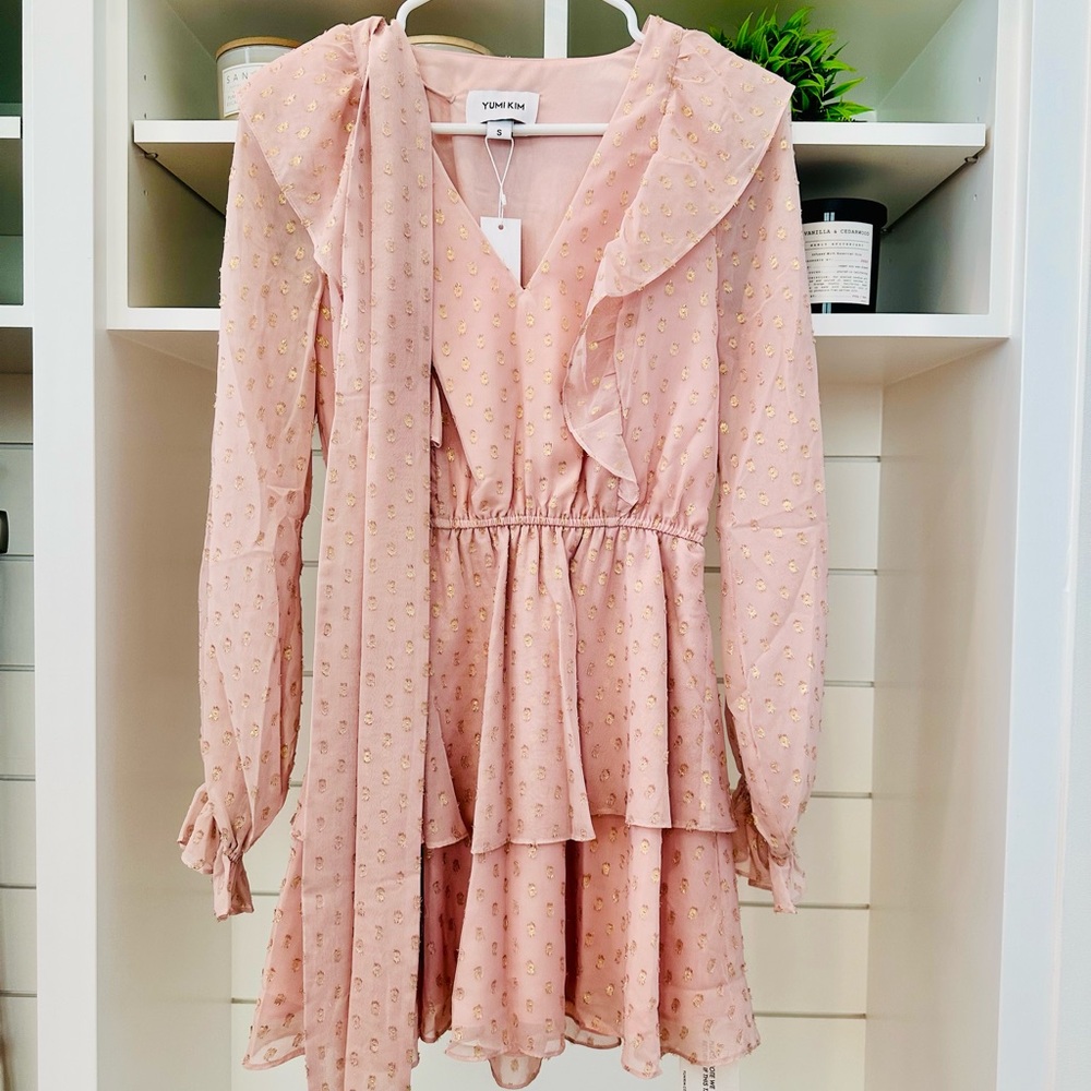 Yumi Kim, West Village Dress, Glitter Dot Blush. Blush Dress with Gold Accents